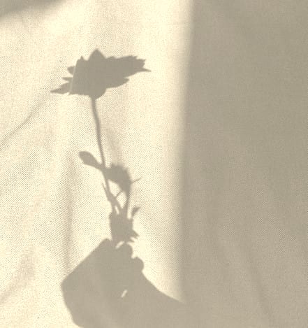 FOLMÉ - オーダーメイドの提案を象徴する花の影
